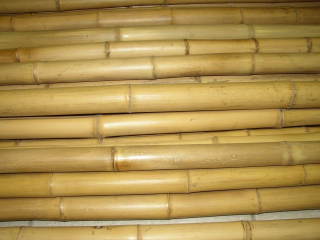 Tyč bambusová 75cm - 6-8mm, 1ks